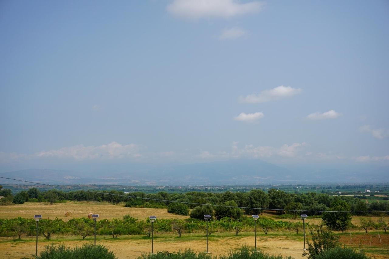 Agriturismo Casacchella Marina di Sibari Exteriör bild