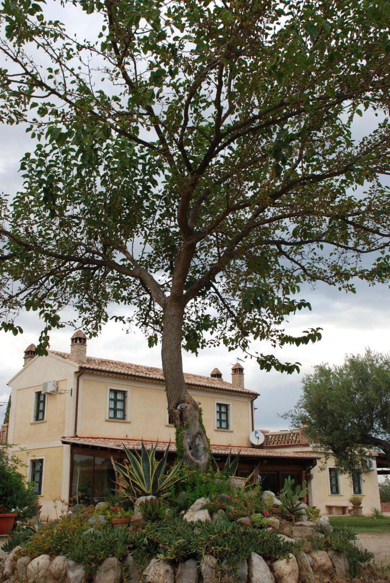 Agriturismo Casacchella Marina di Sibari Rum bild